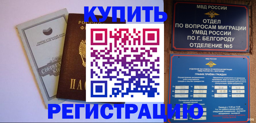 прописка гарантия в Моршанске